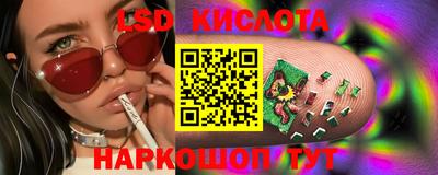 шишки Пенза
