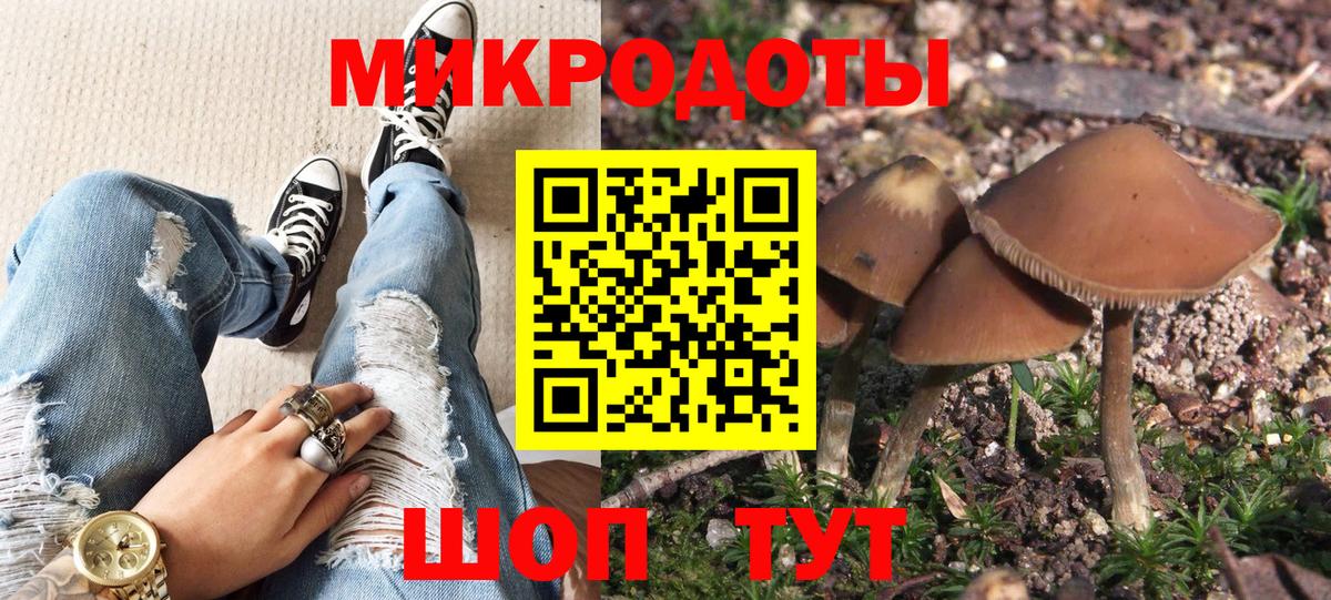 Санкт-Петербург  Галлюциногенные грибы Psilocybe  Вход с VPN  Псилоцибиновые грибы мухоморы 