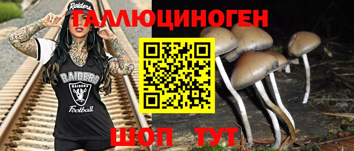 Галлюциногенные грибы прущие грибы Санкт-Петербург